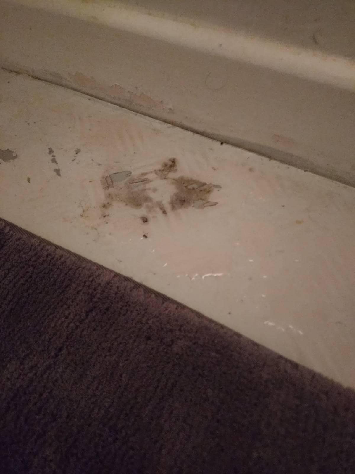 water puddle underneath the wiggly and loose toilet faucet