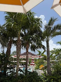 Immaculate Pool Vibes