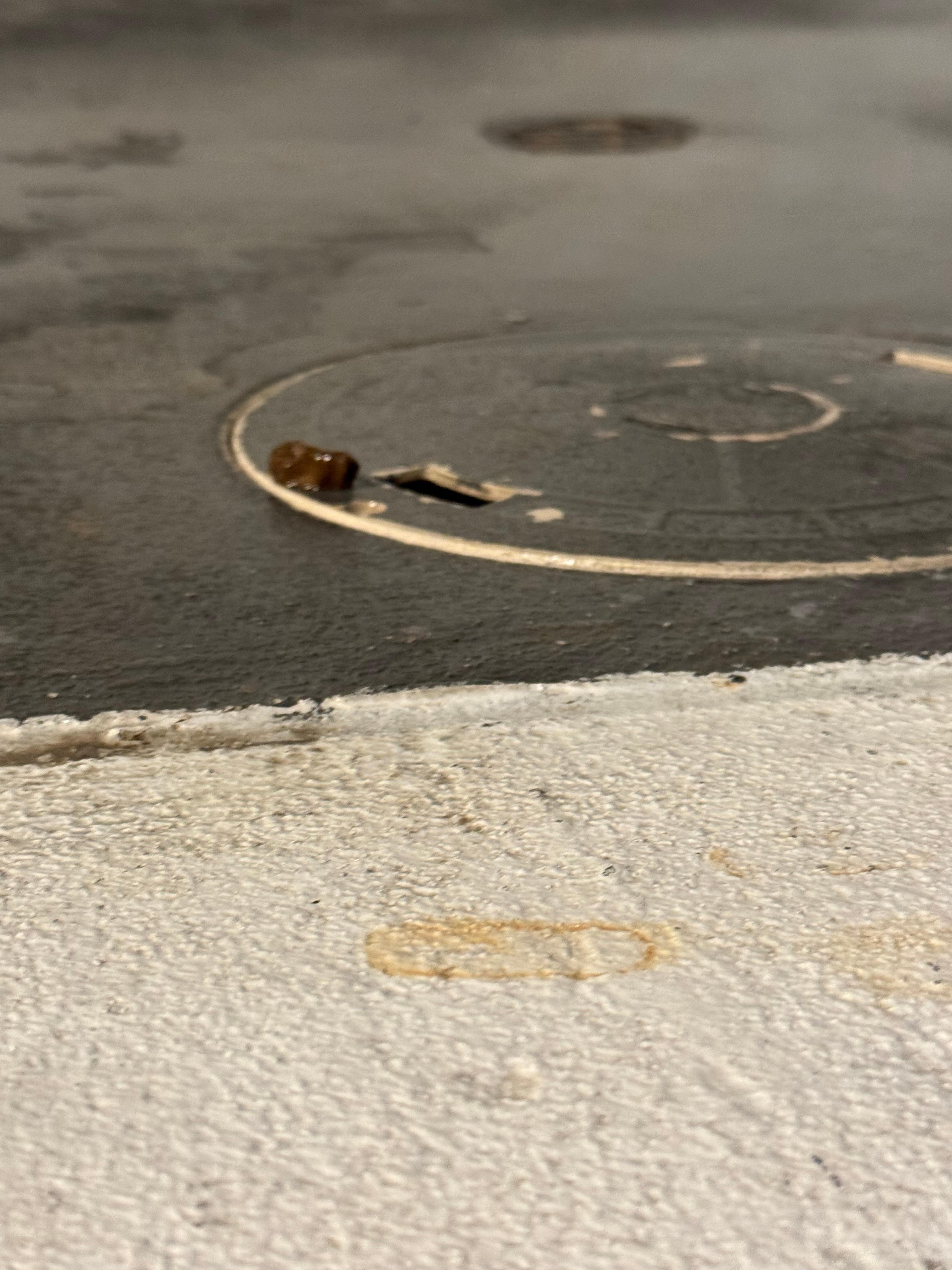 feces yes feces next to spa tried to call office twice but they kept hanging up