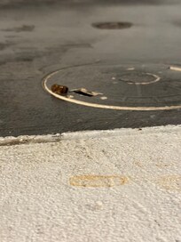 feces yes feces next to spa tried to call office twice but they kept hanging up