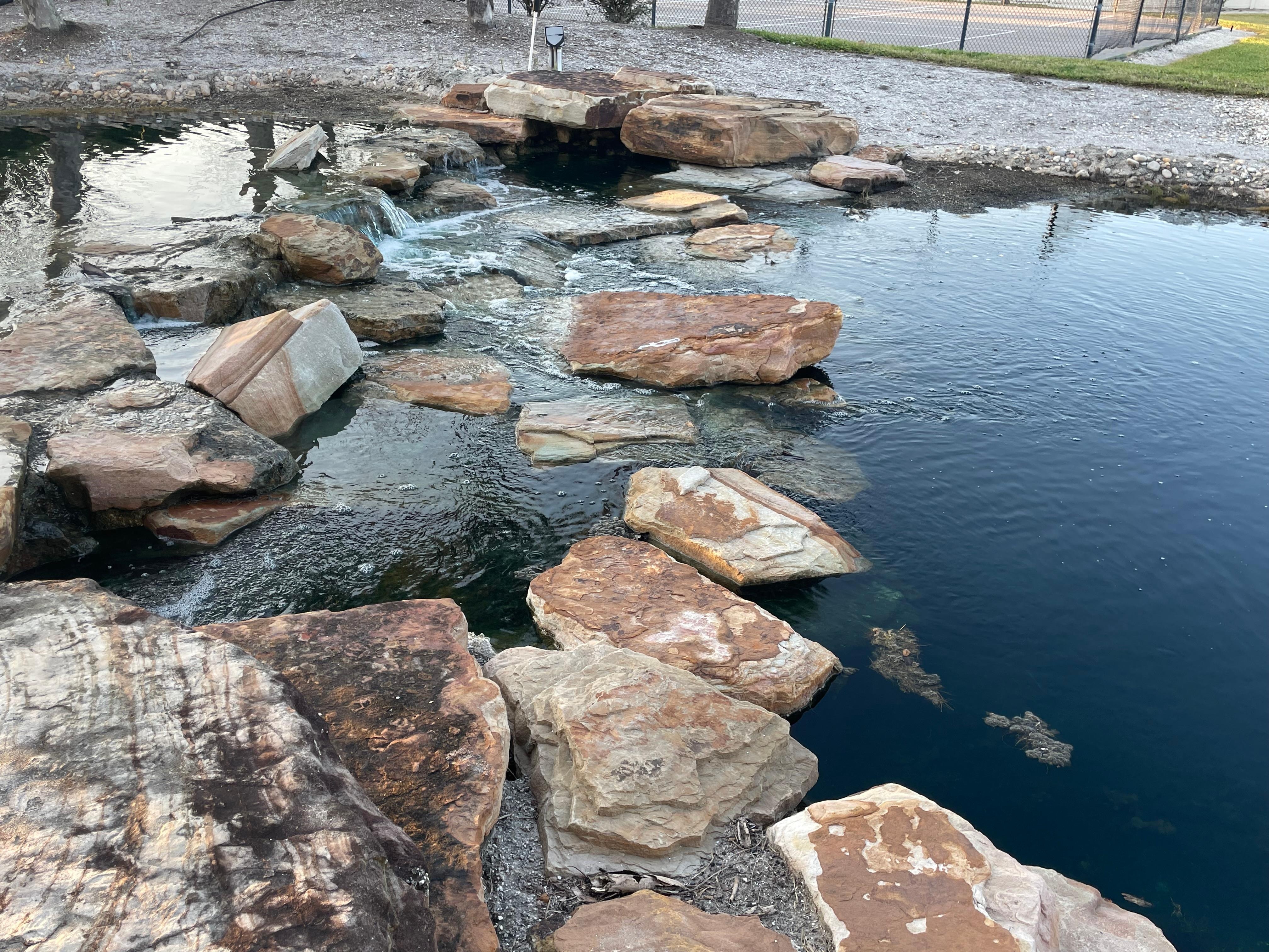 The grounds, very nice.