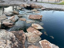 The grounds, very nice.