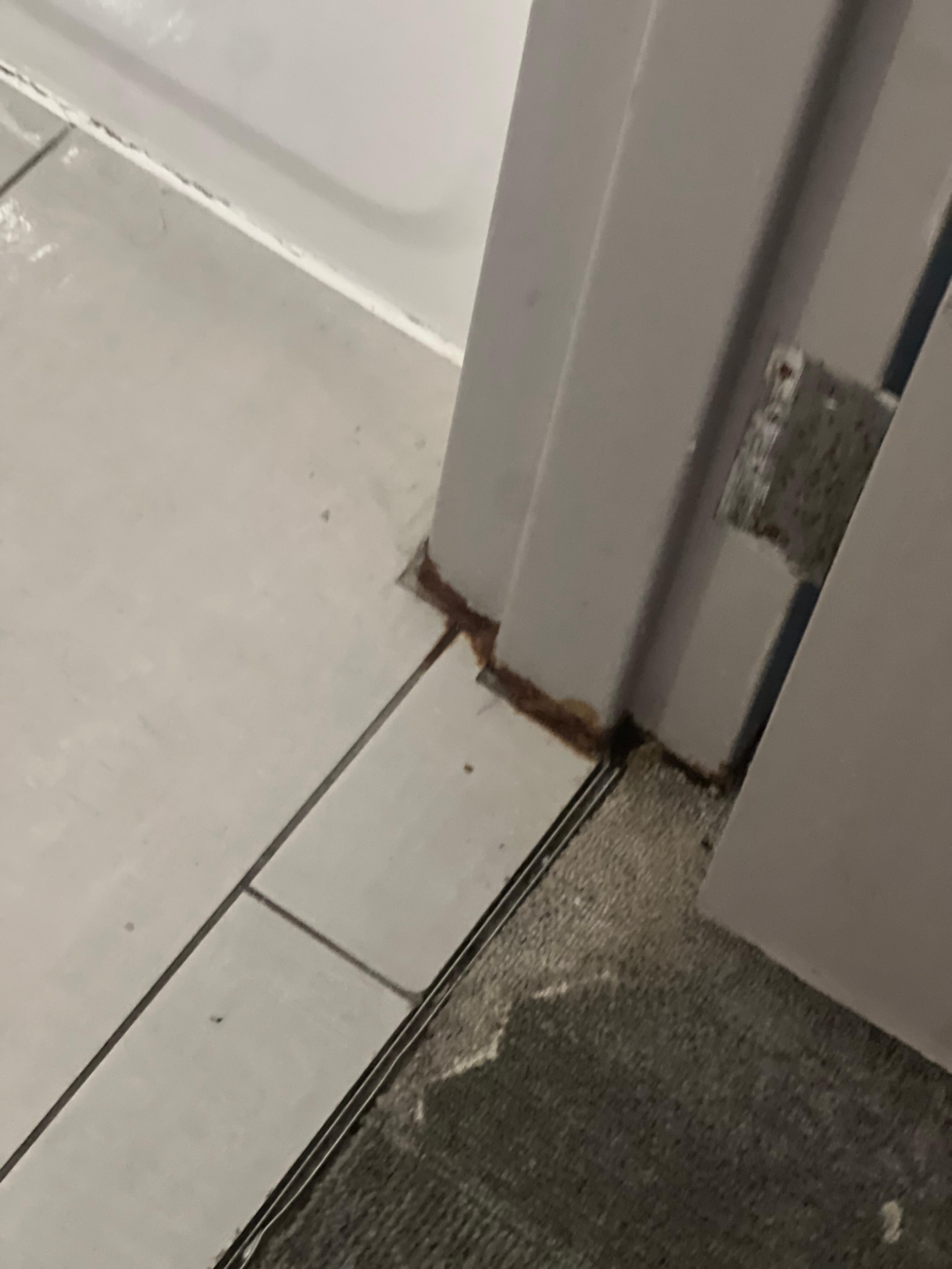 The entrance to the bathroom. I have no clue what this is.