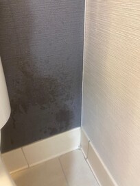 Bathroom had possible urine behind the toilet. Manager also didn’t care about that.
