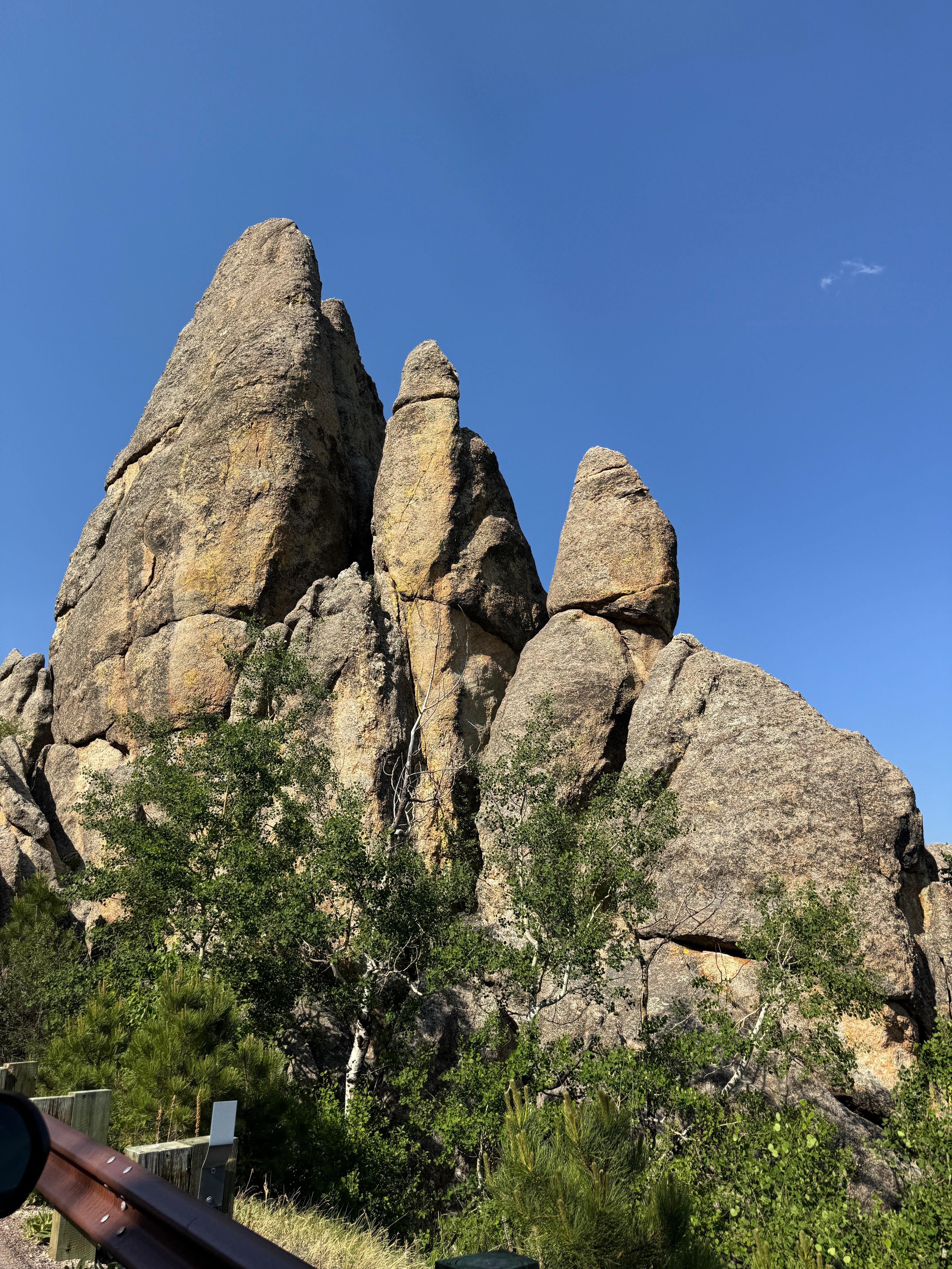 Custer State Park
