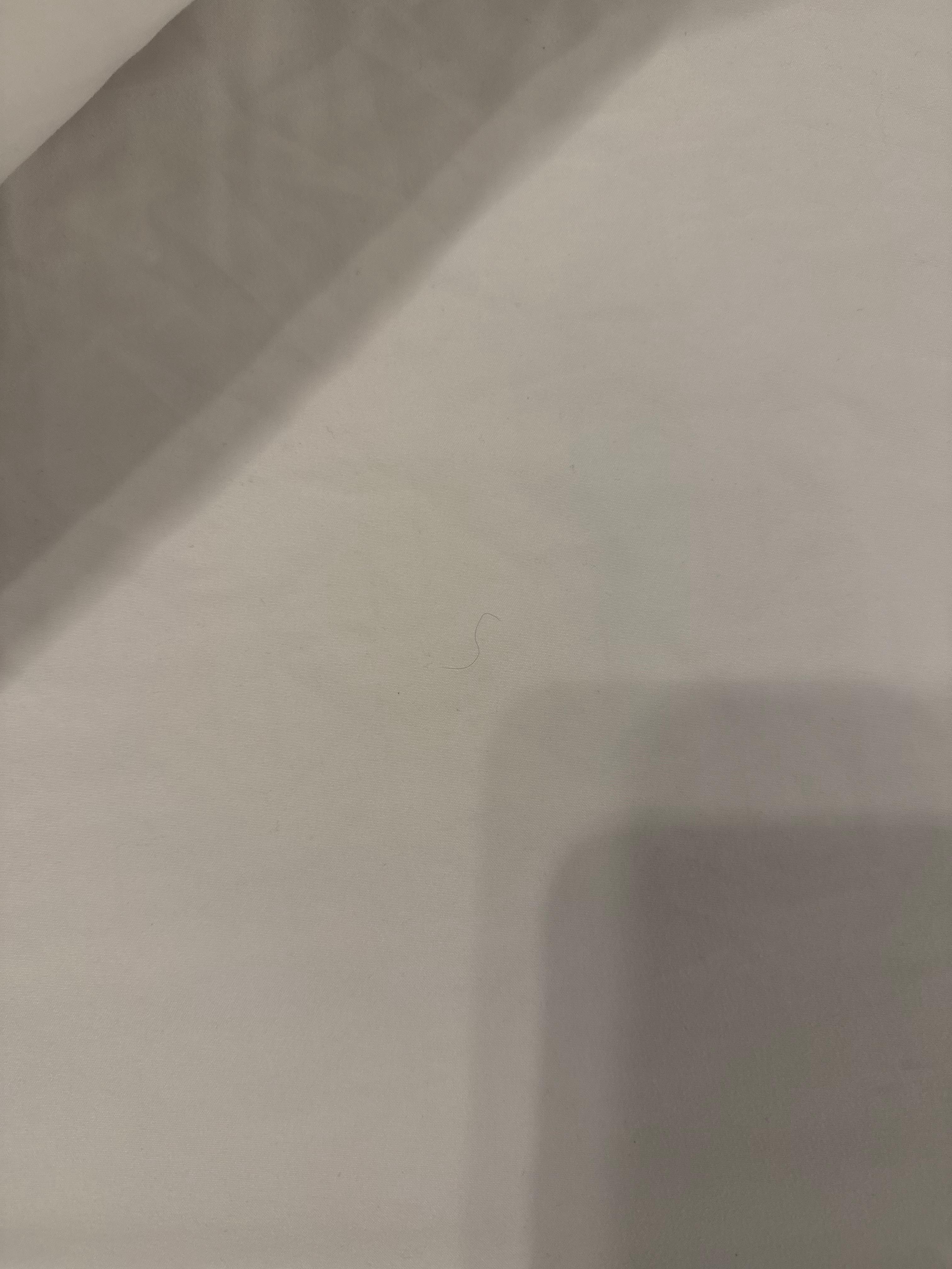 Hair in the bedsheets