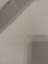 Hair in the bedsheets