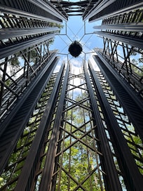 Garvan Woodland Gardens