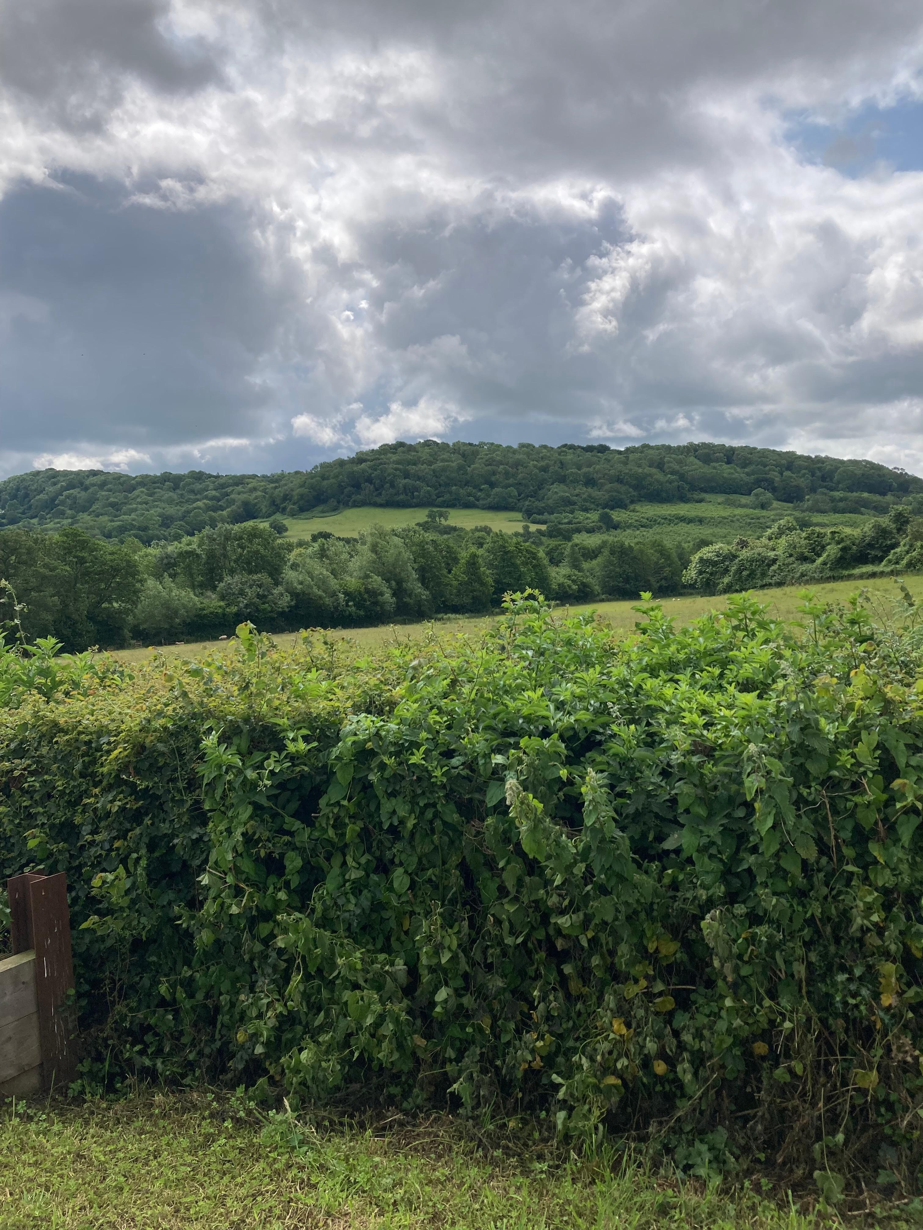 View from the front of property 