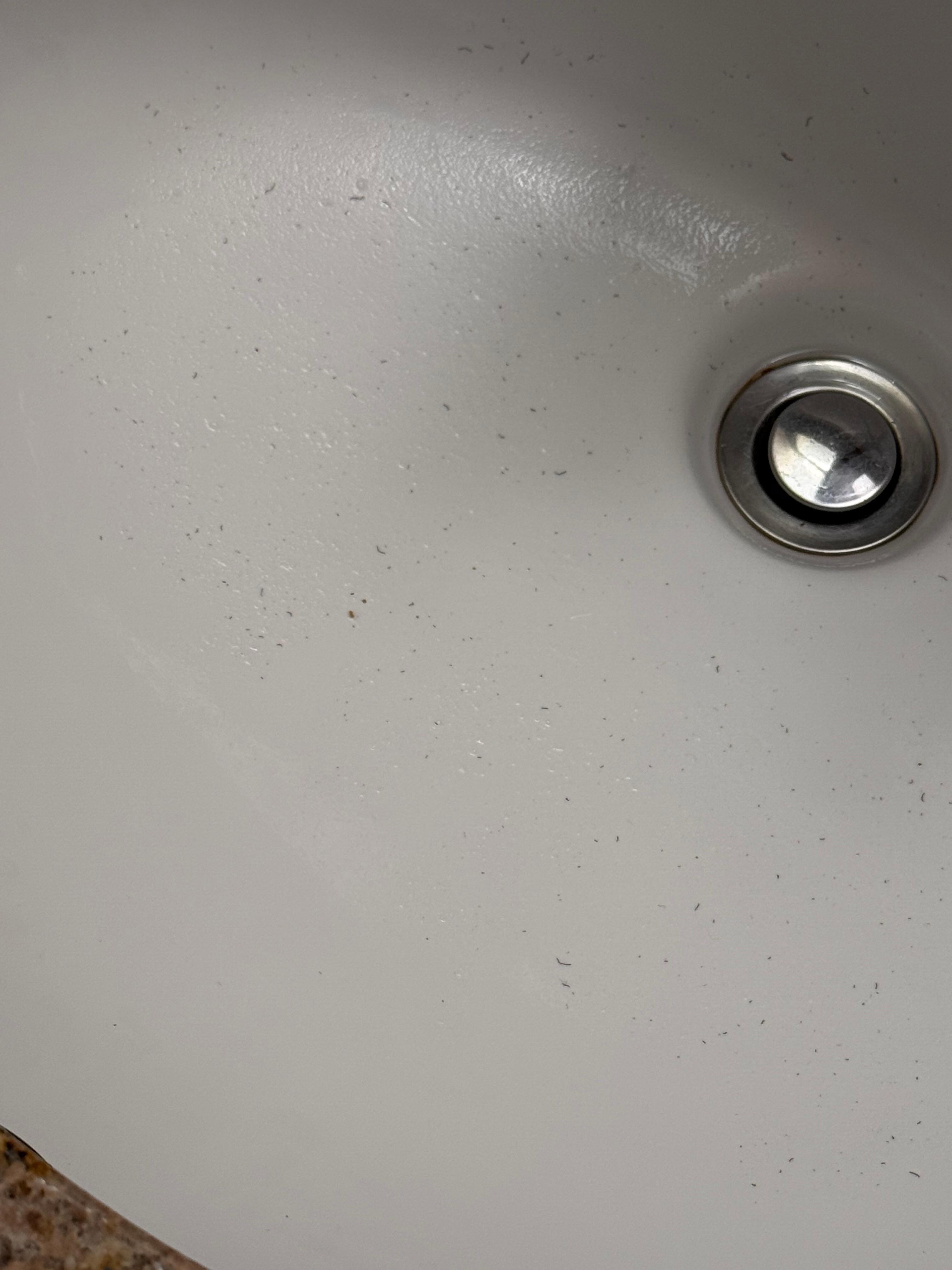 Dirty sink that drained slowly