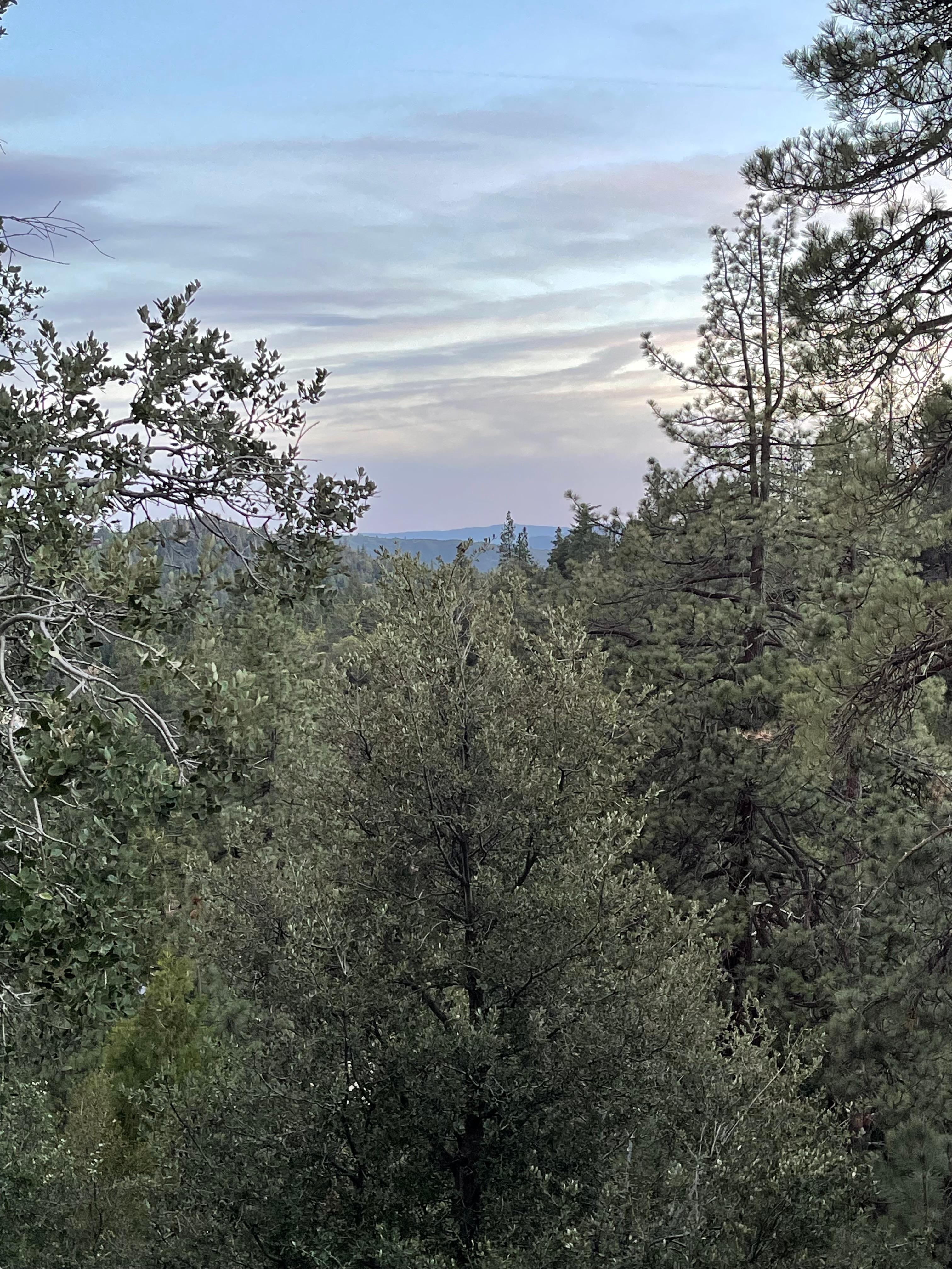 Cup o coffee and nature. Love my room balcony. 