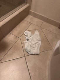 Dirty towels left on floor when I first arrived. The hand towels looked used and not exchanged from the guests prior. The shower didn’t get hot at all. Toilet paper was cheap and thin
The bed was comfortable and pillows were comfortable.