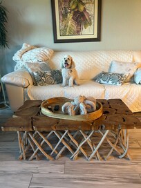 We loved the fur bed for our dog as well as the dog bowls. Thanks