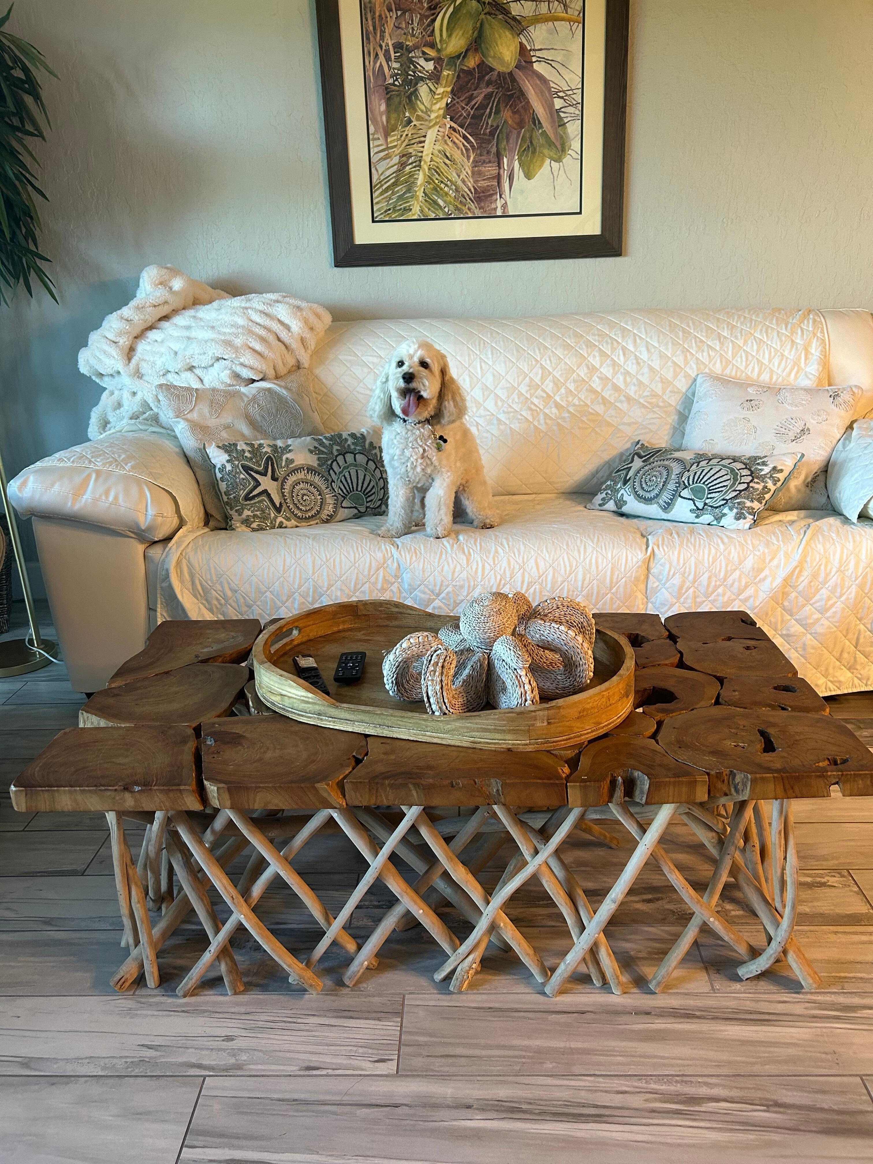 We loved the fur bed for our dog as well as the dog bowls. Thanks