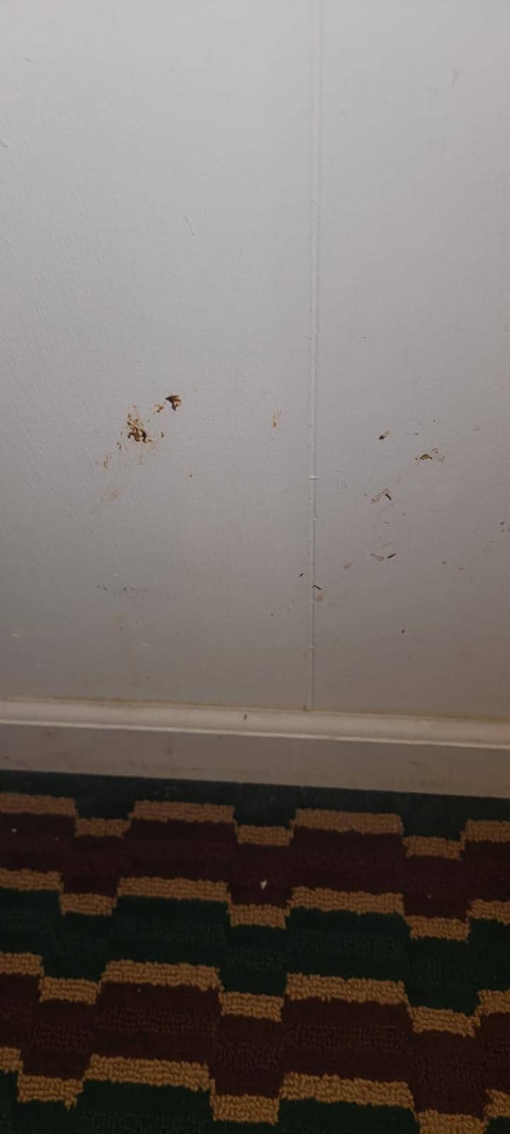 They claim the rooms are clean?