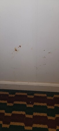 They claim the rooms are clean?