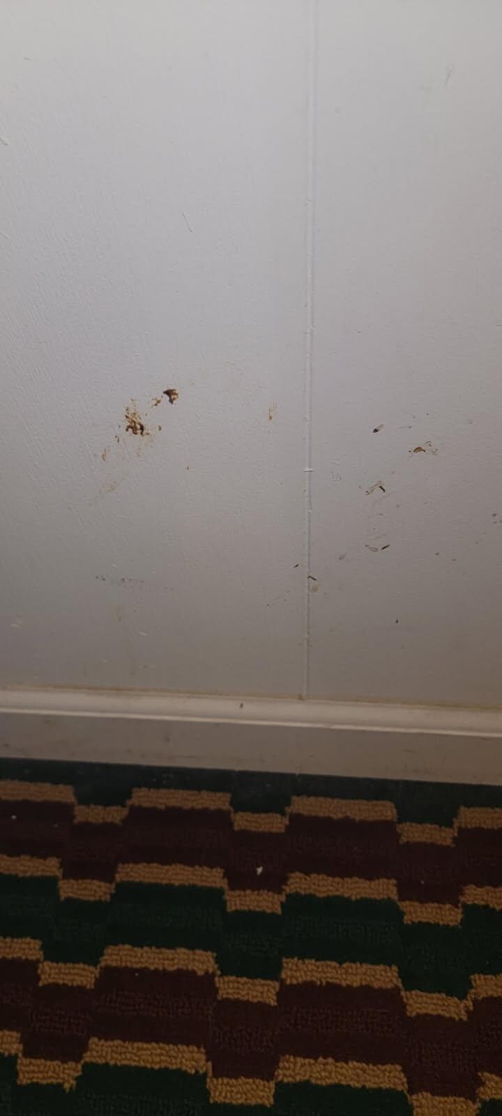 They claim the rooms are clean?