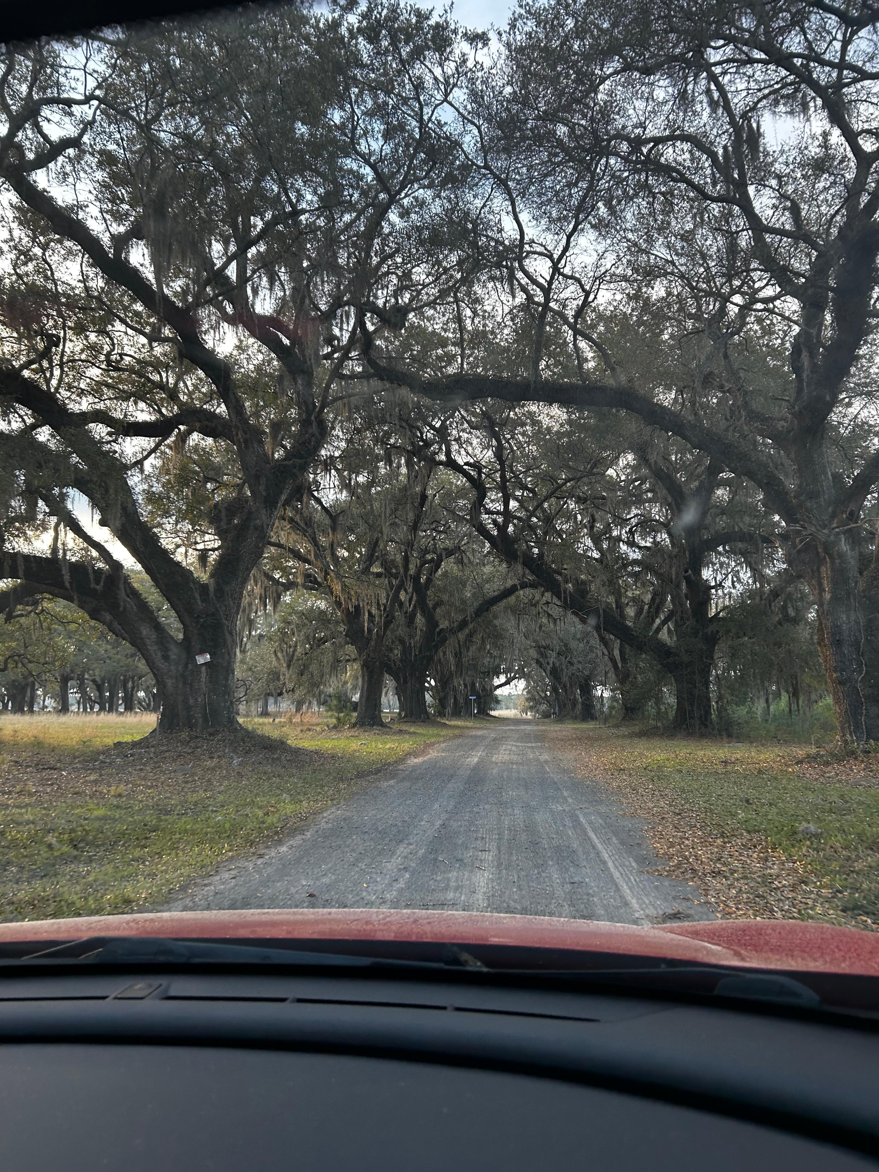 Sunset off back of boat