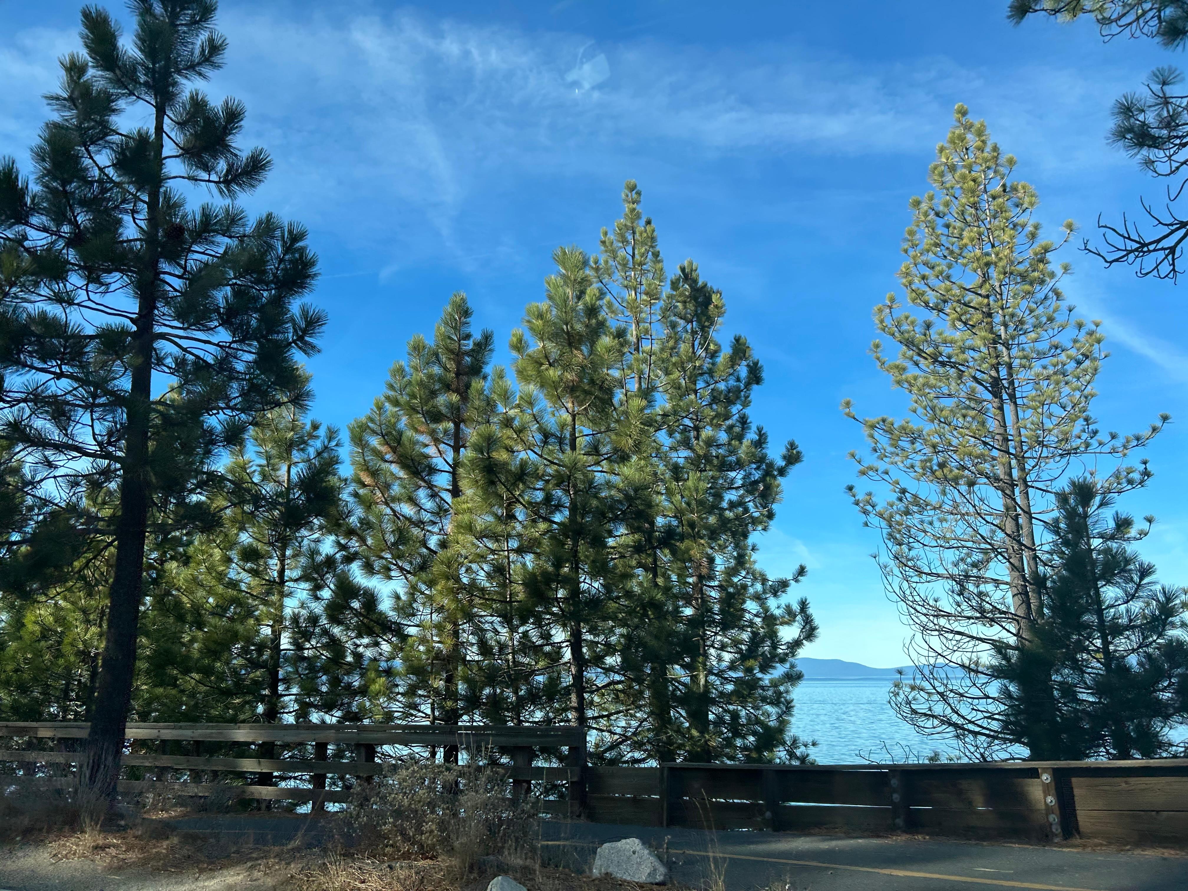 Also close to the Lake