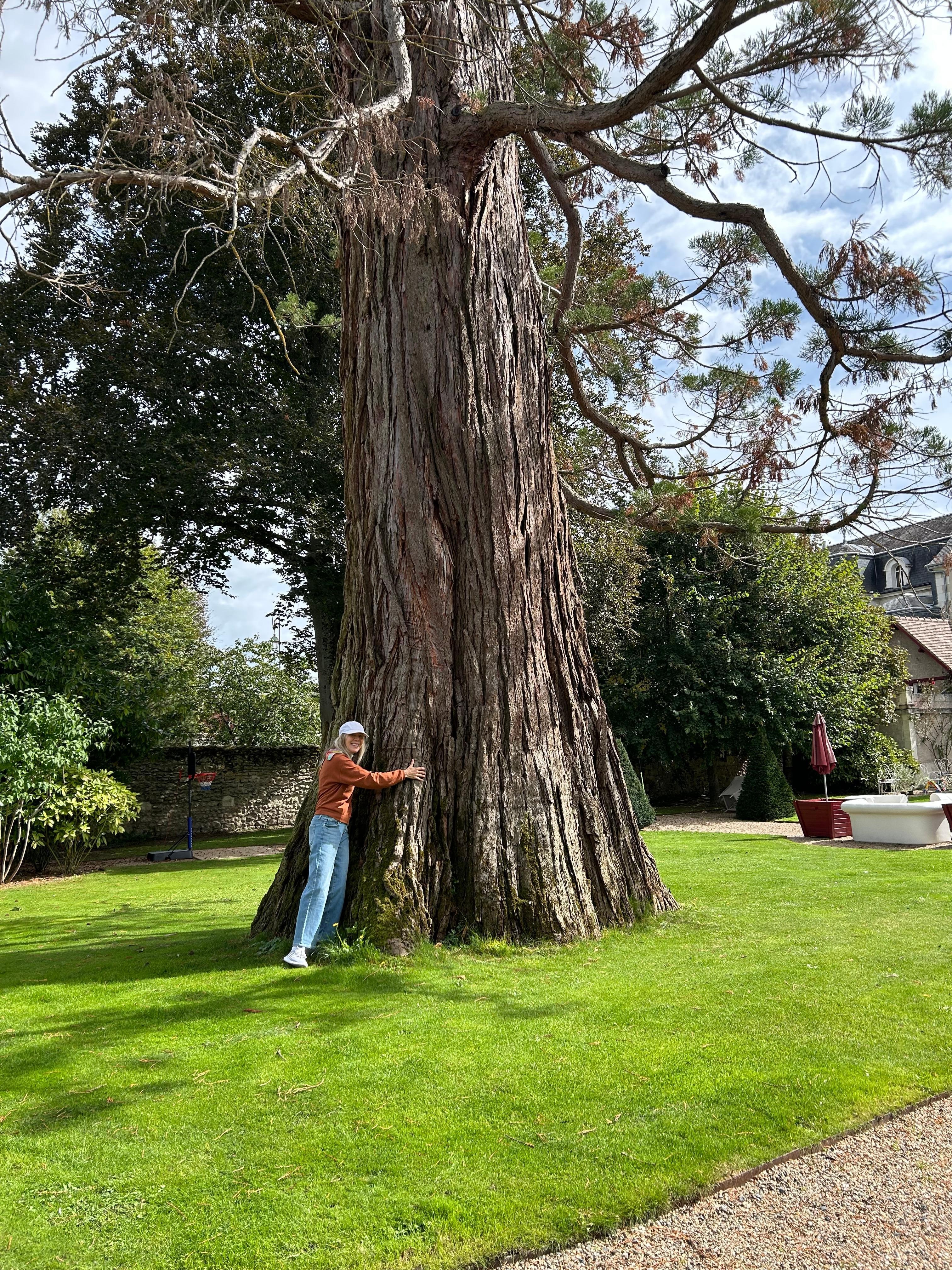 A tree from 1750 on the property!