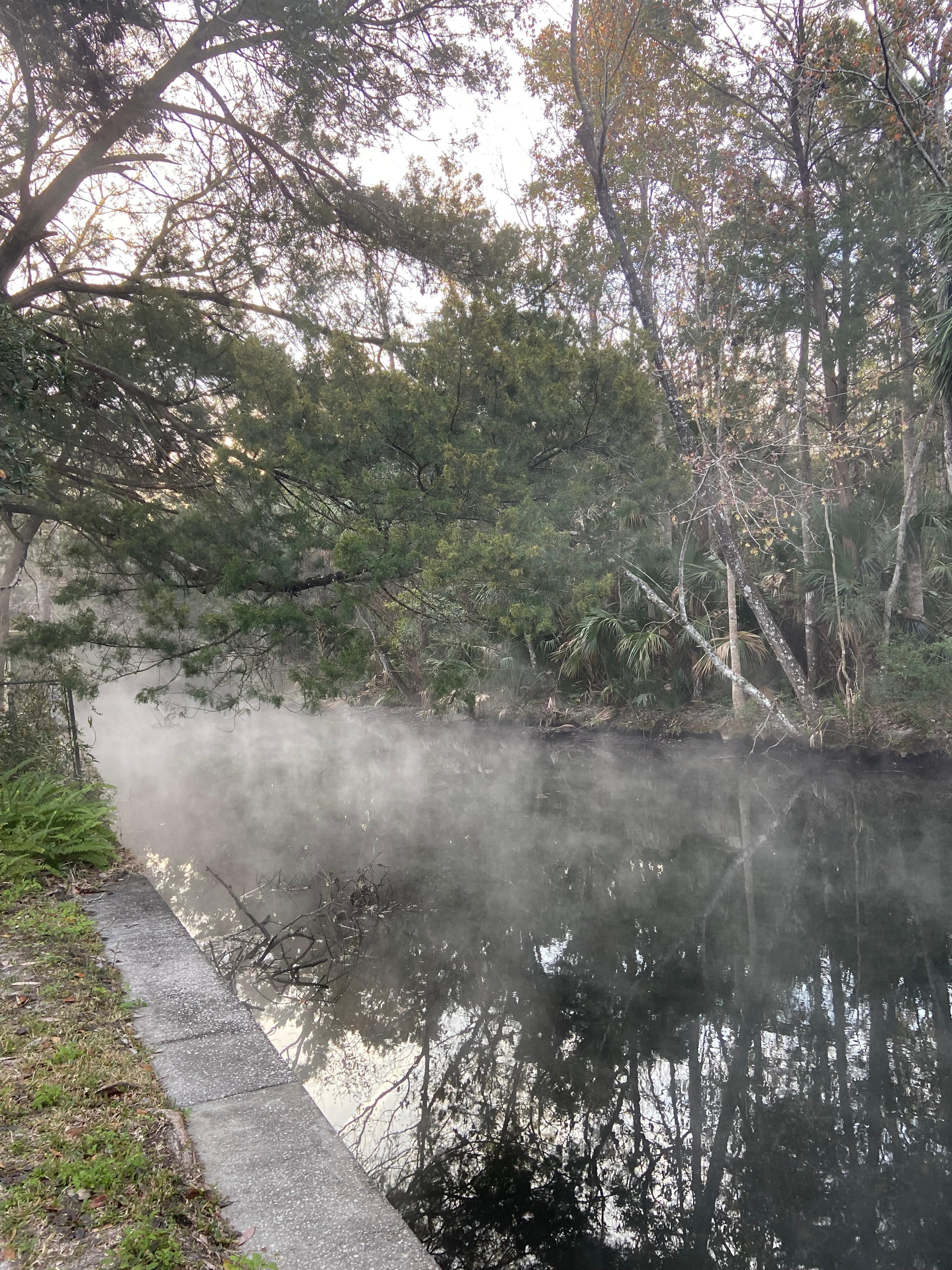 Steam rises from the canal in the early morning. 