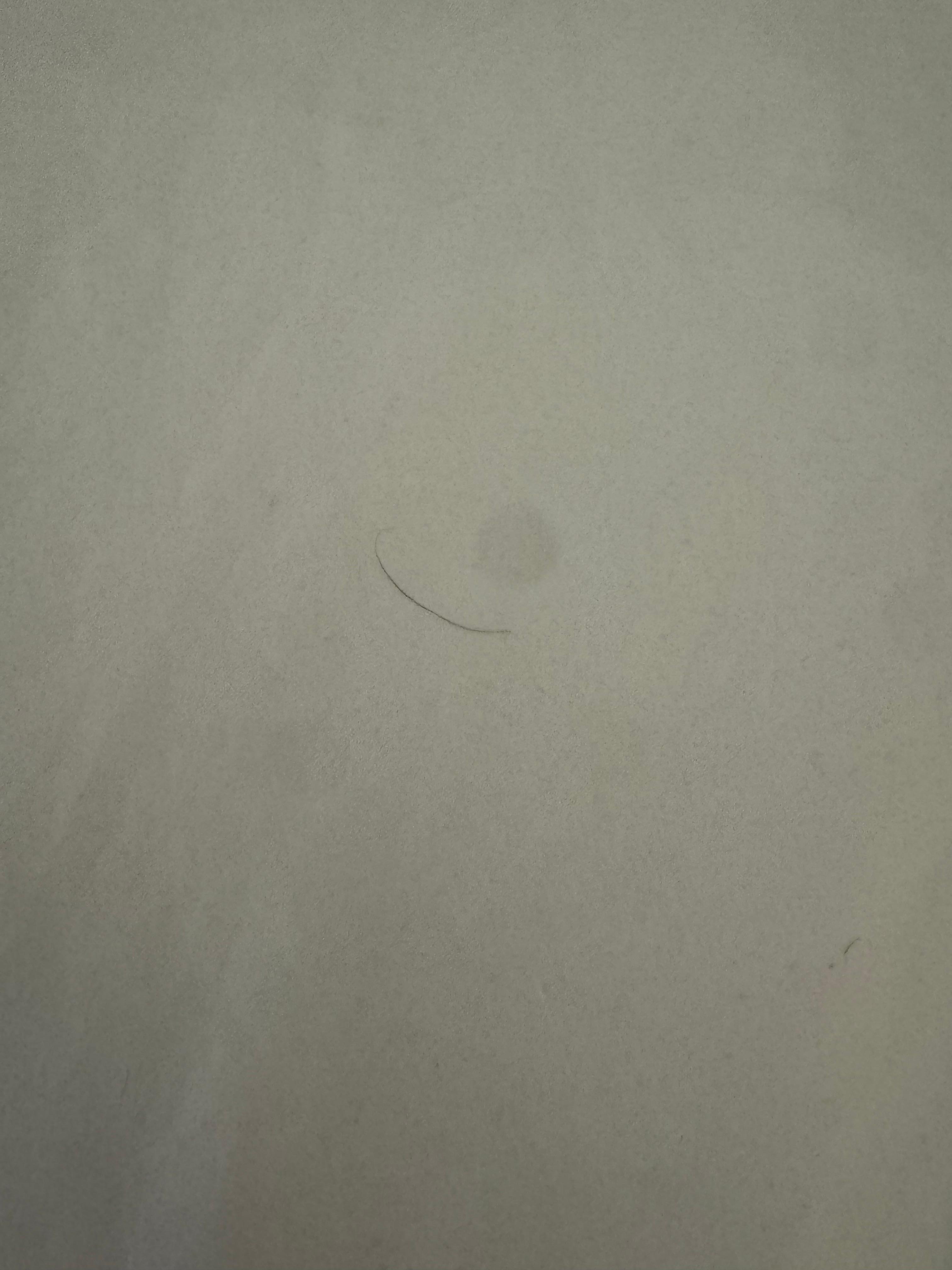 Hairs and bodily fluids 