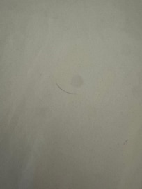 Hairs and bodily fluids