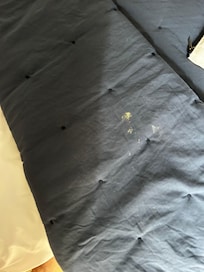 Dirty blanket on bed