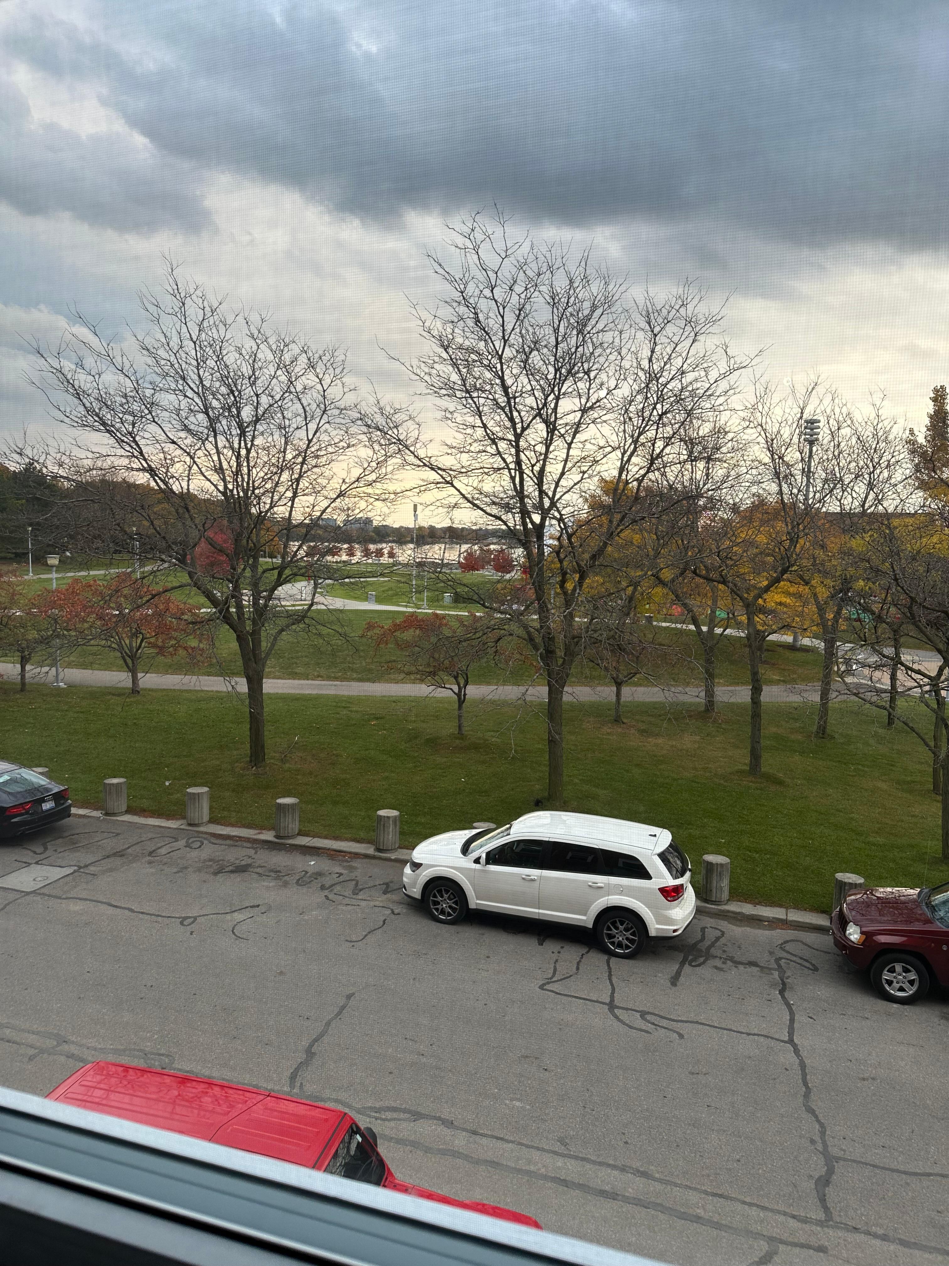 The view from the room 