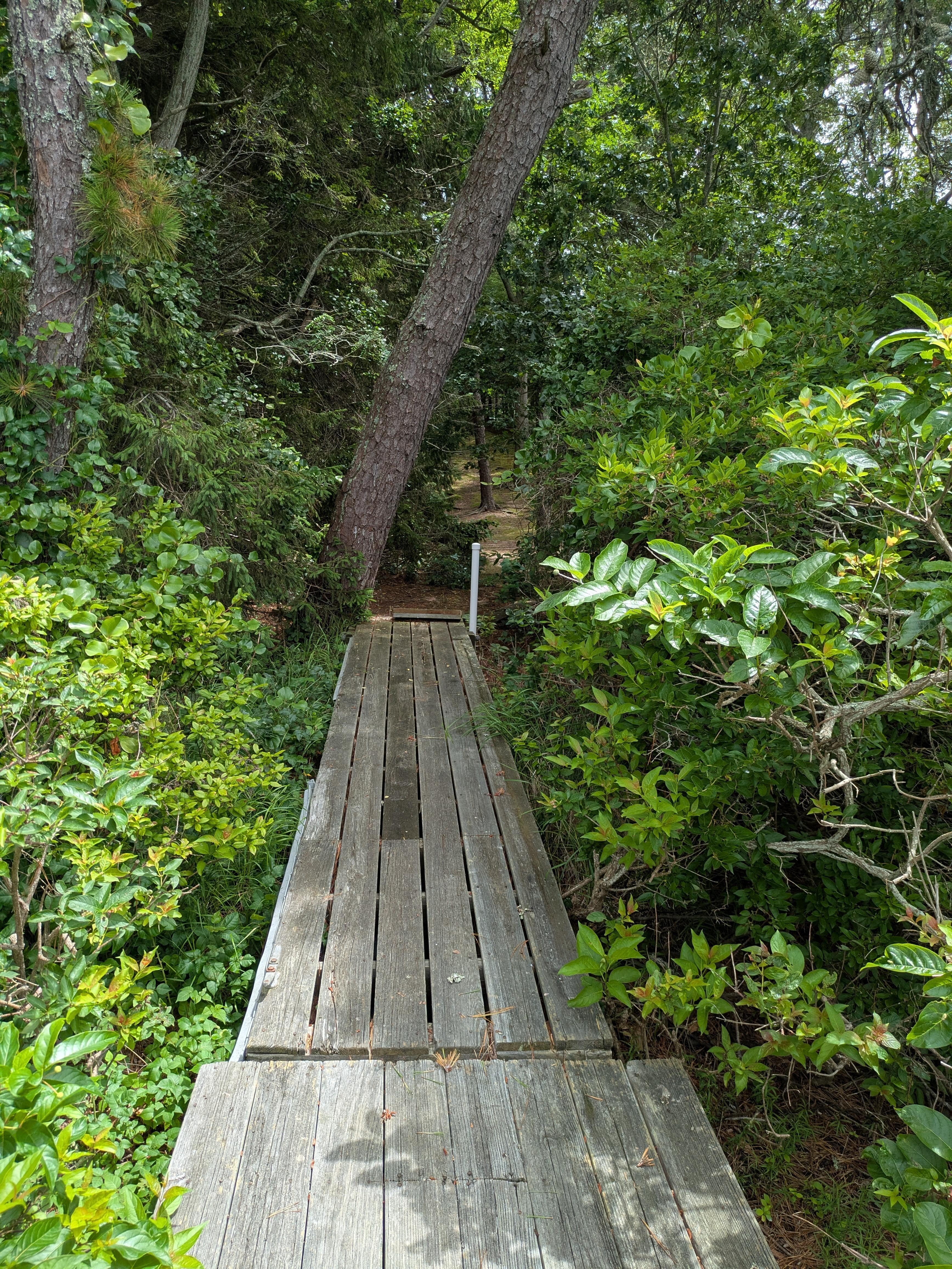 Dock to minister pond.