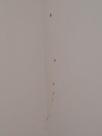 Blood on walls