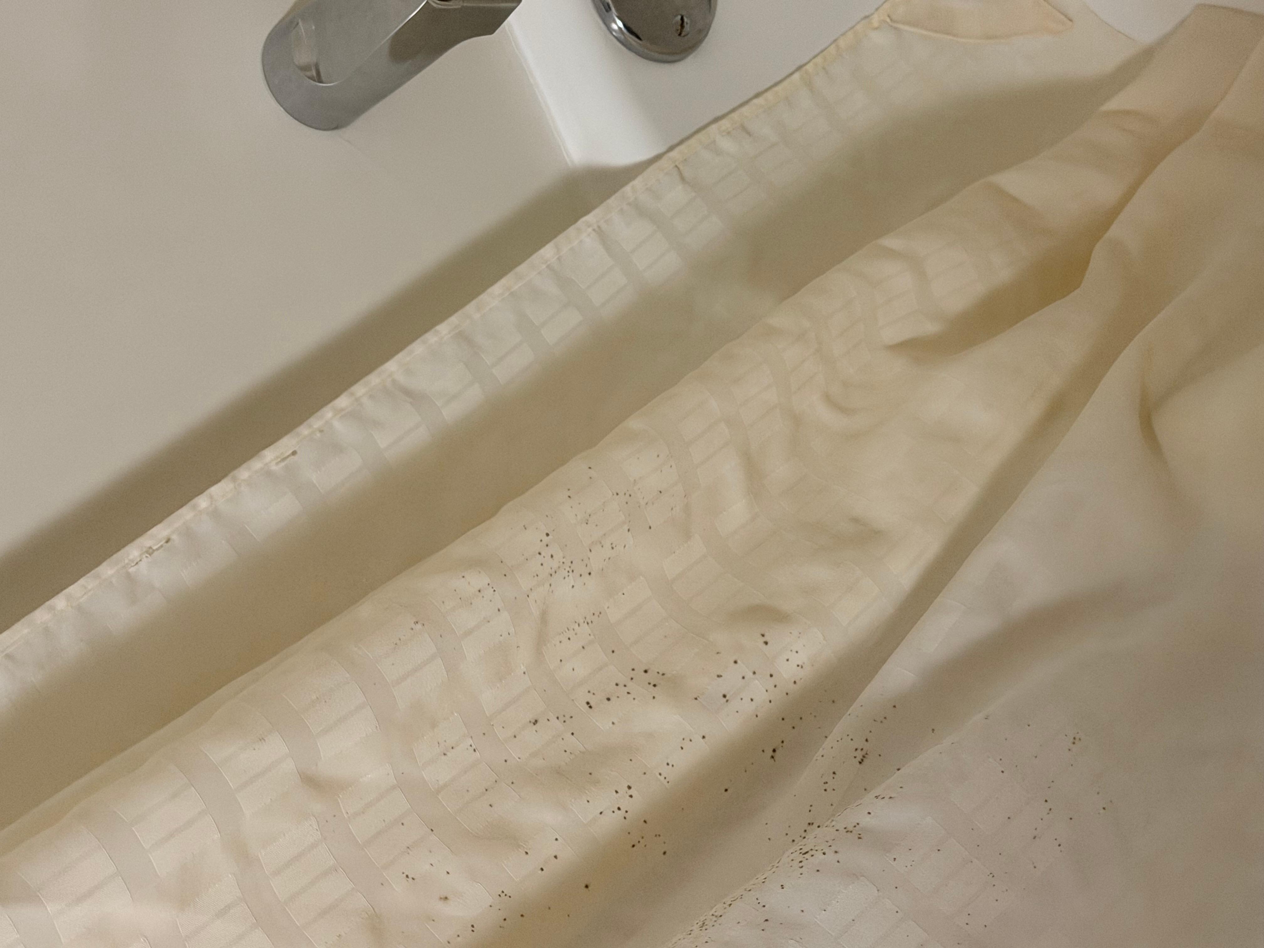 Mold on curtains