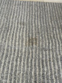 Stained and worn out rugs.