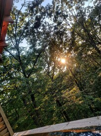 Tree views across the back of the home helps you feel secluded.