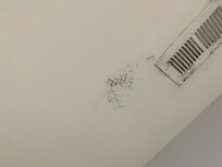 Mold