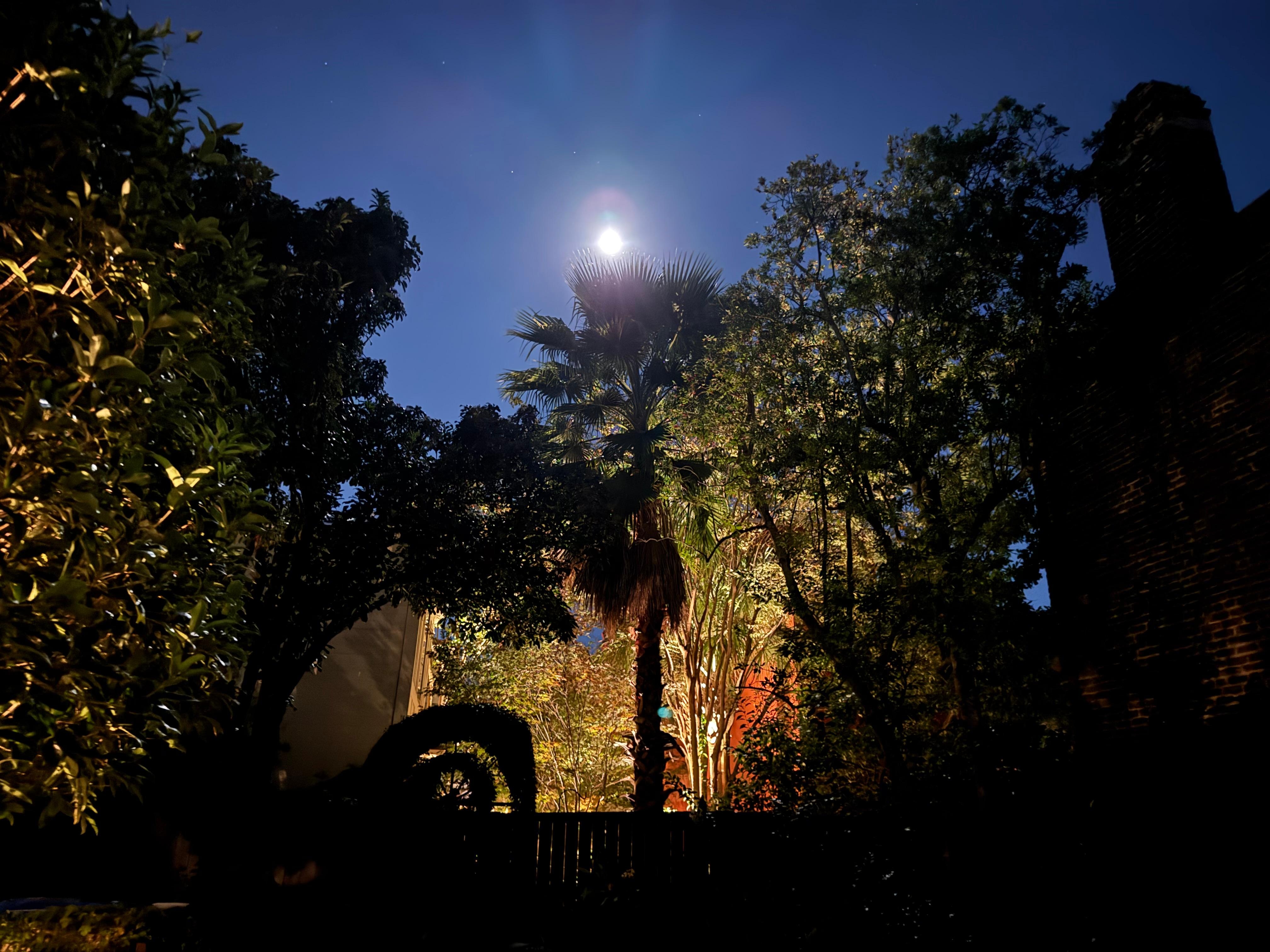 Backyard courtyard at night 