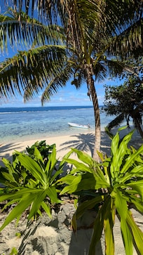 Best view in the morning from my bure