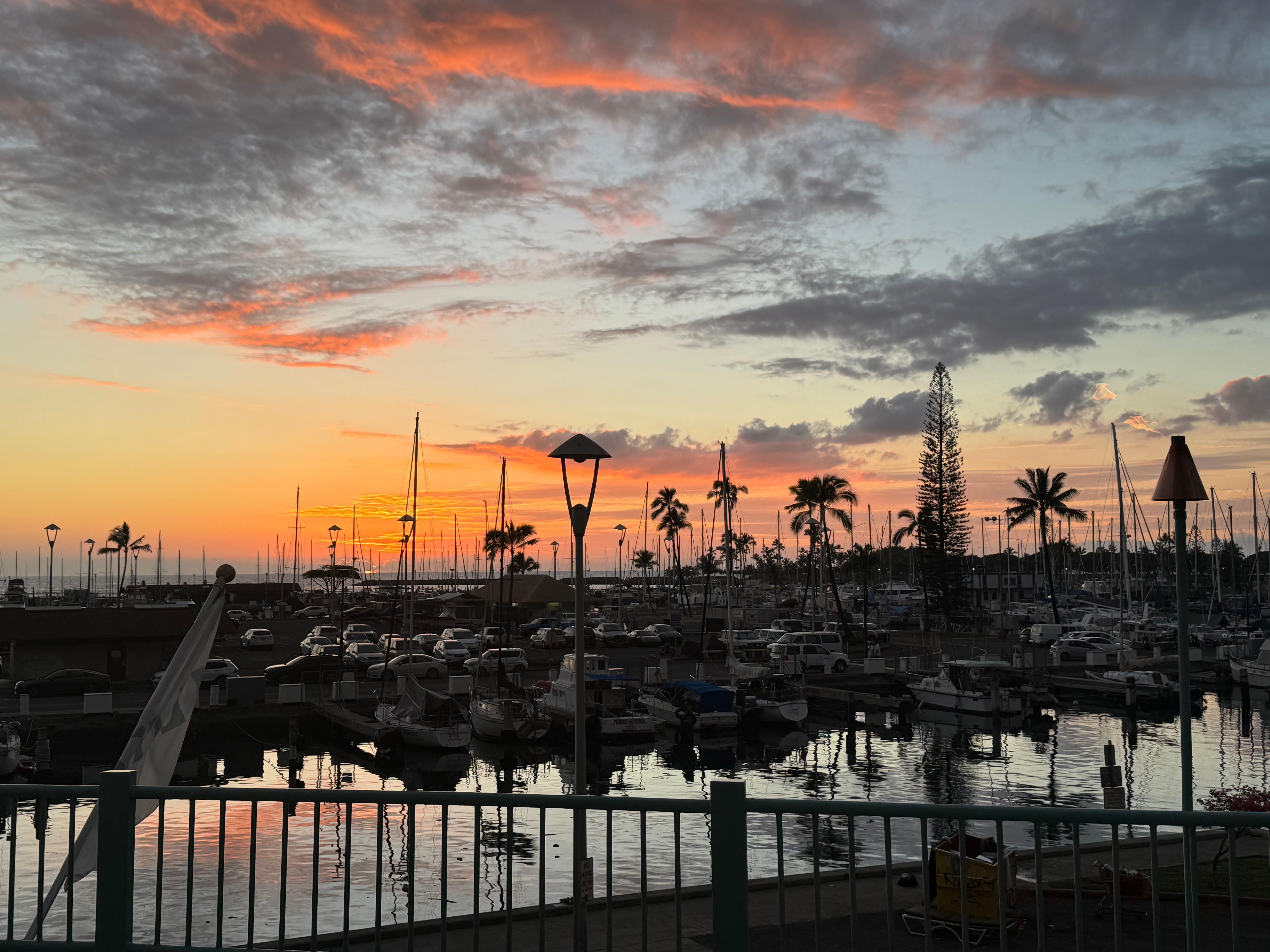 Best sunsets by the marina