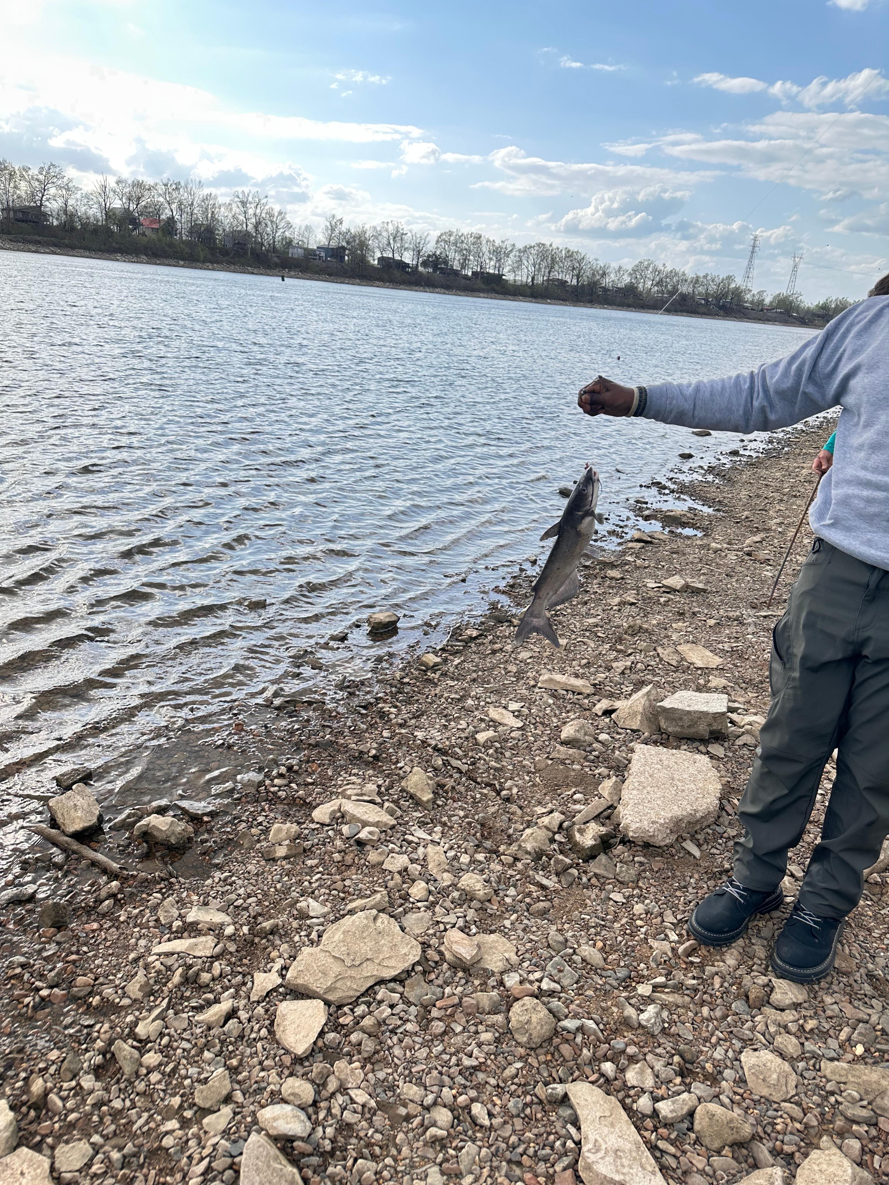 We used worms and fished on the bottom. Wish I brought more worms 