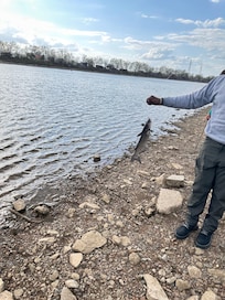 We used worms and fished on the bottom. Wish I brought more worms