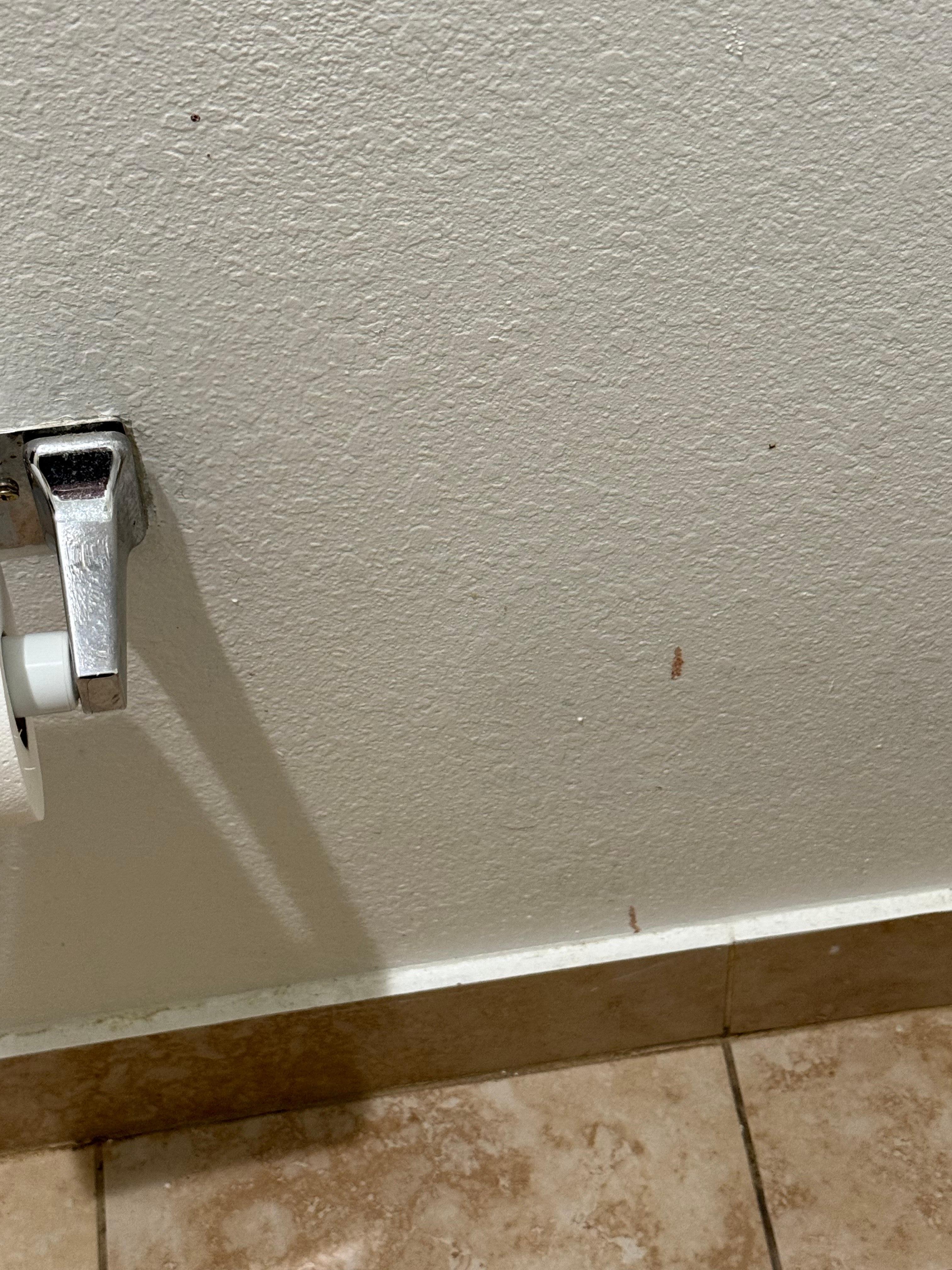 Looked like blood on the wall in the bathroom.