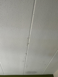 Mold area