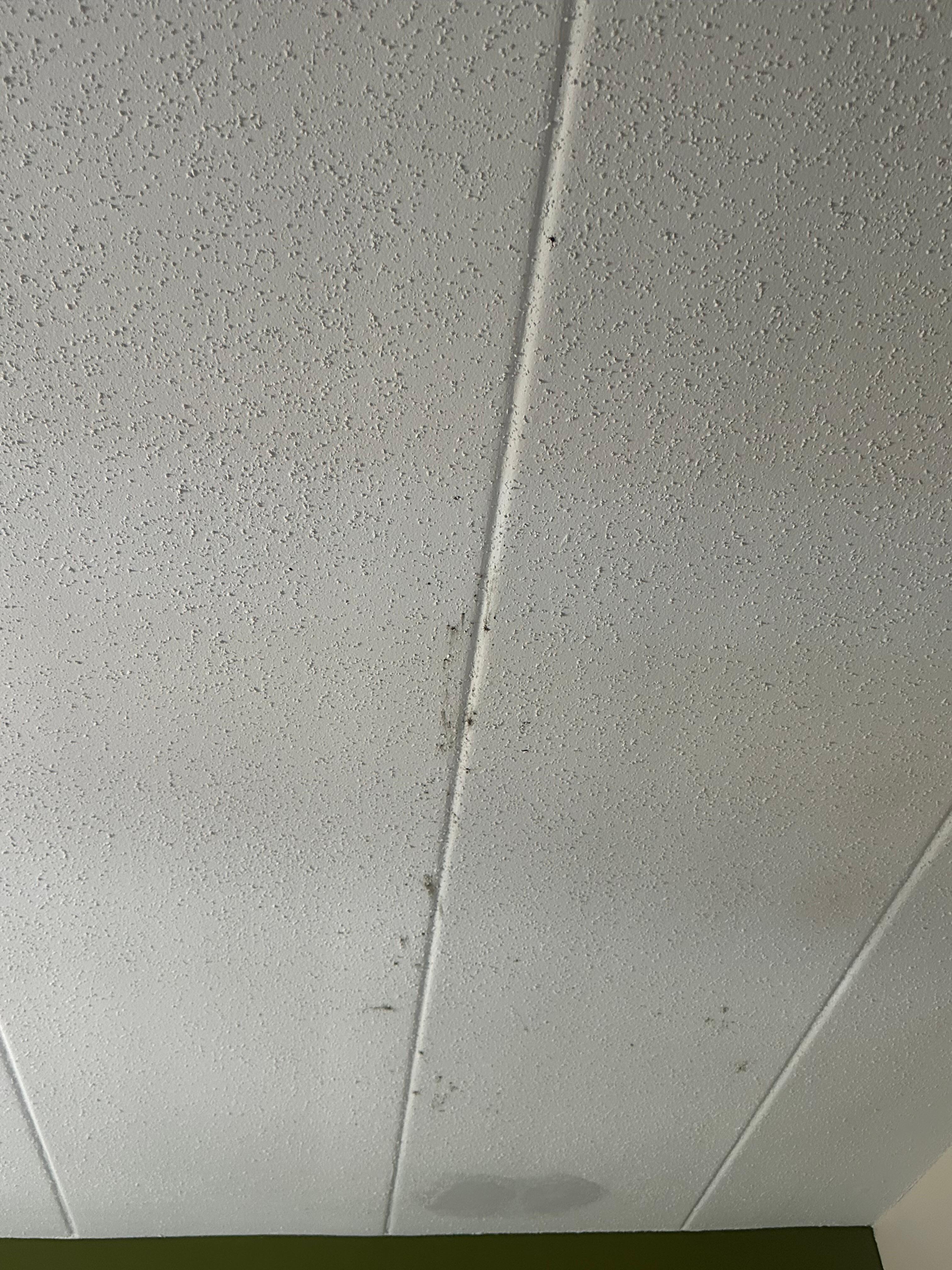 Mold area 