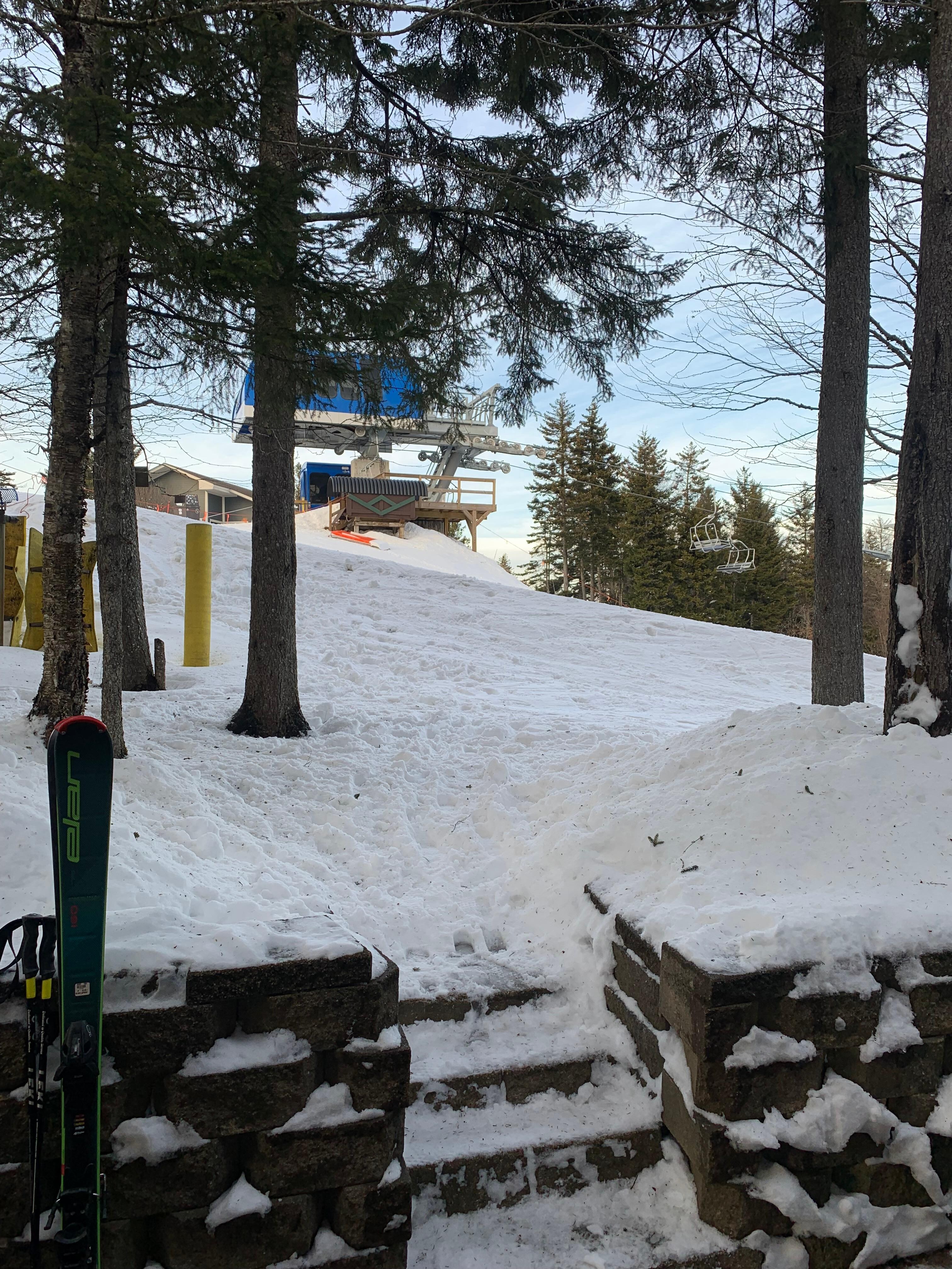 View from the back door.