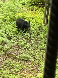 First time seeing one in person for all of us.