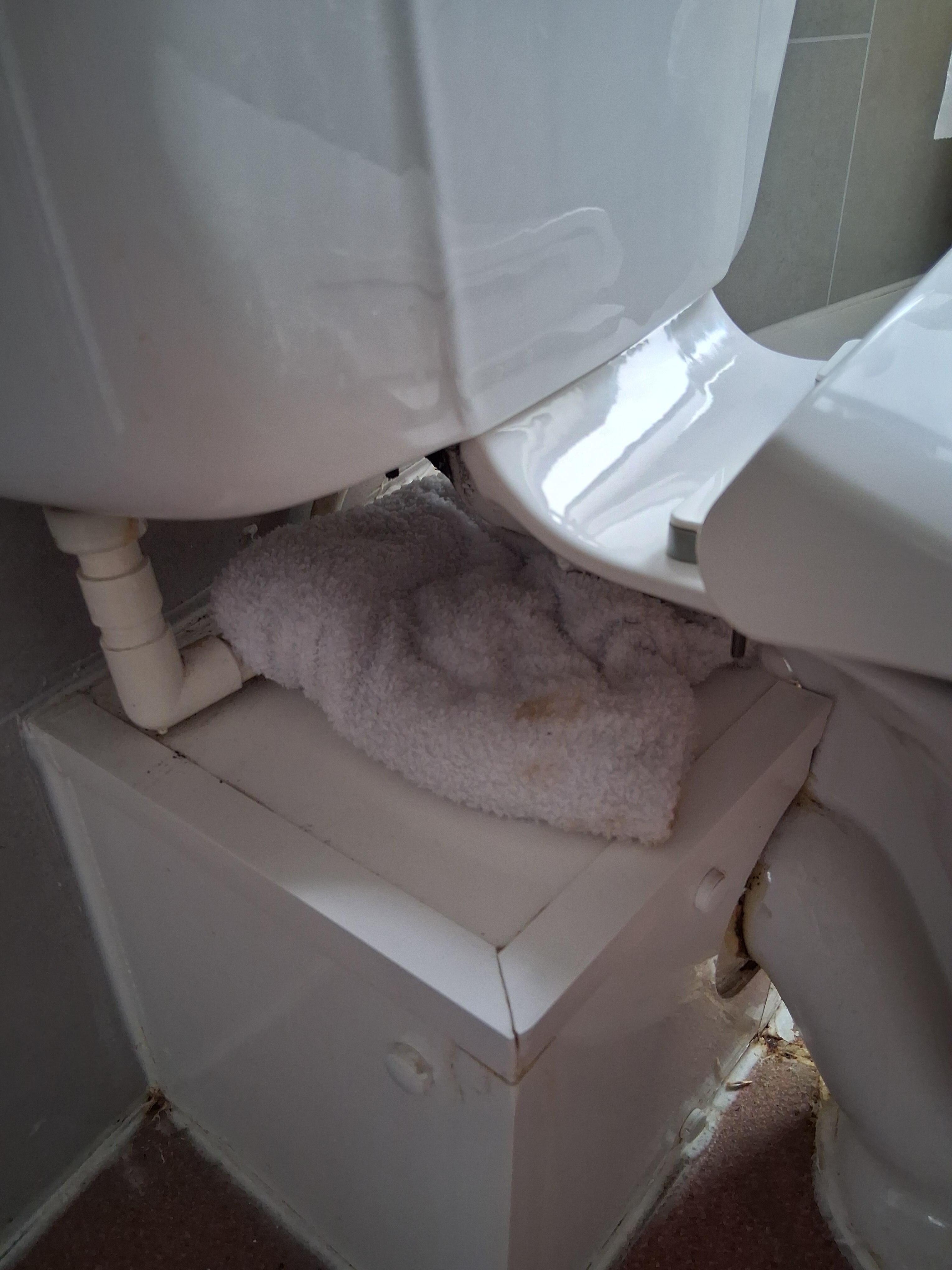 Wet towel under the toilet 