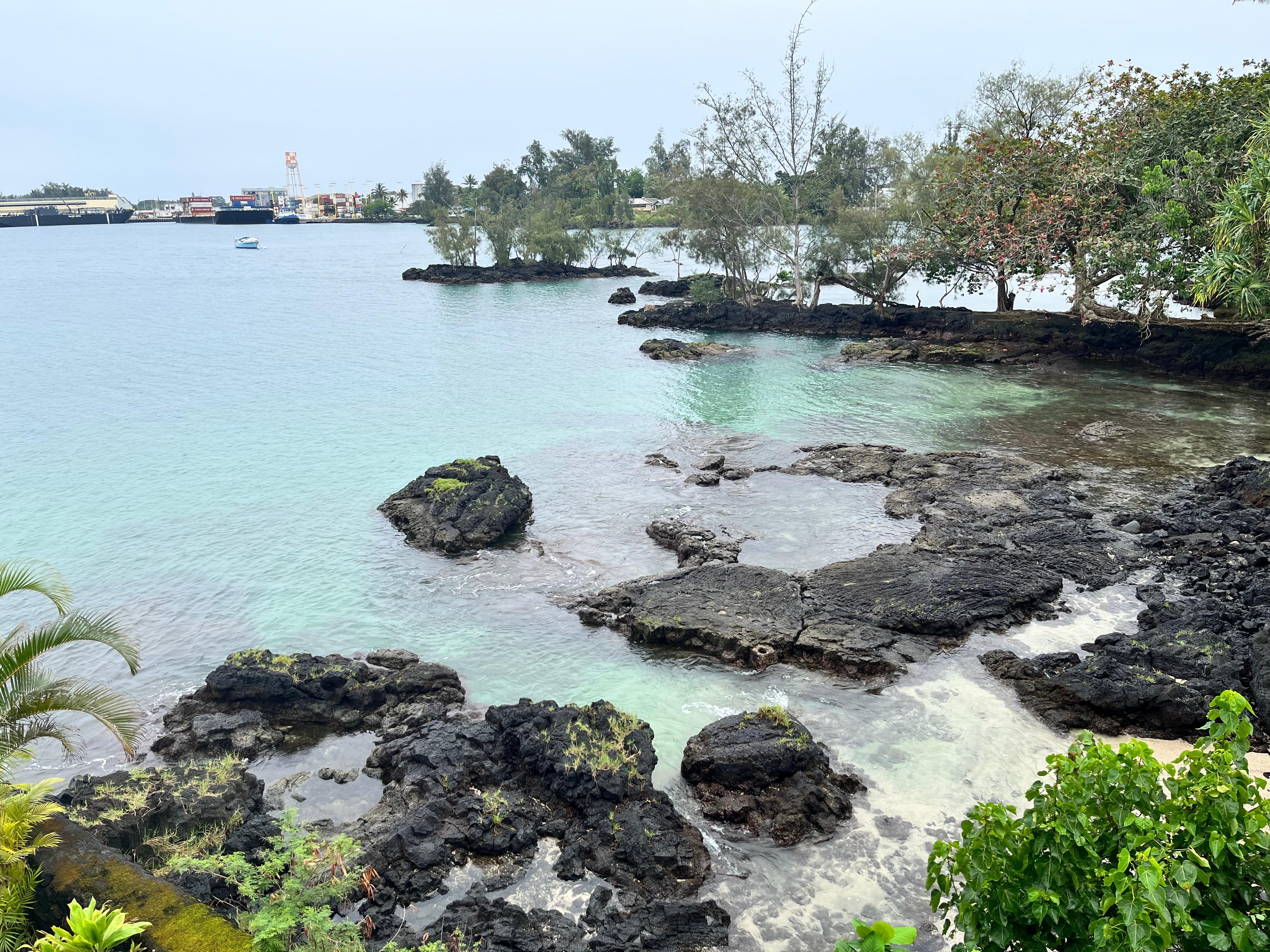 ロビーからの景色