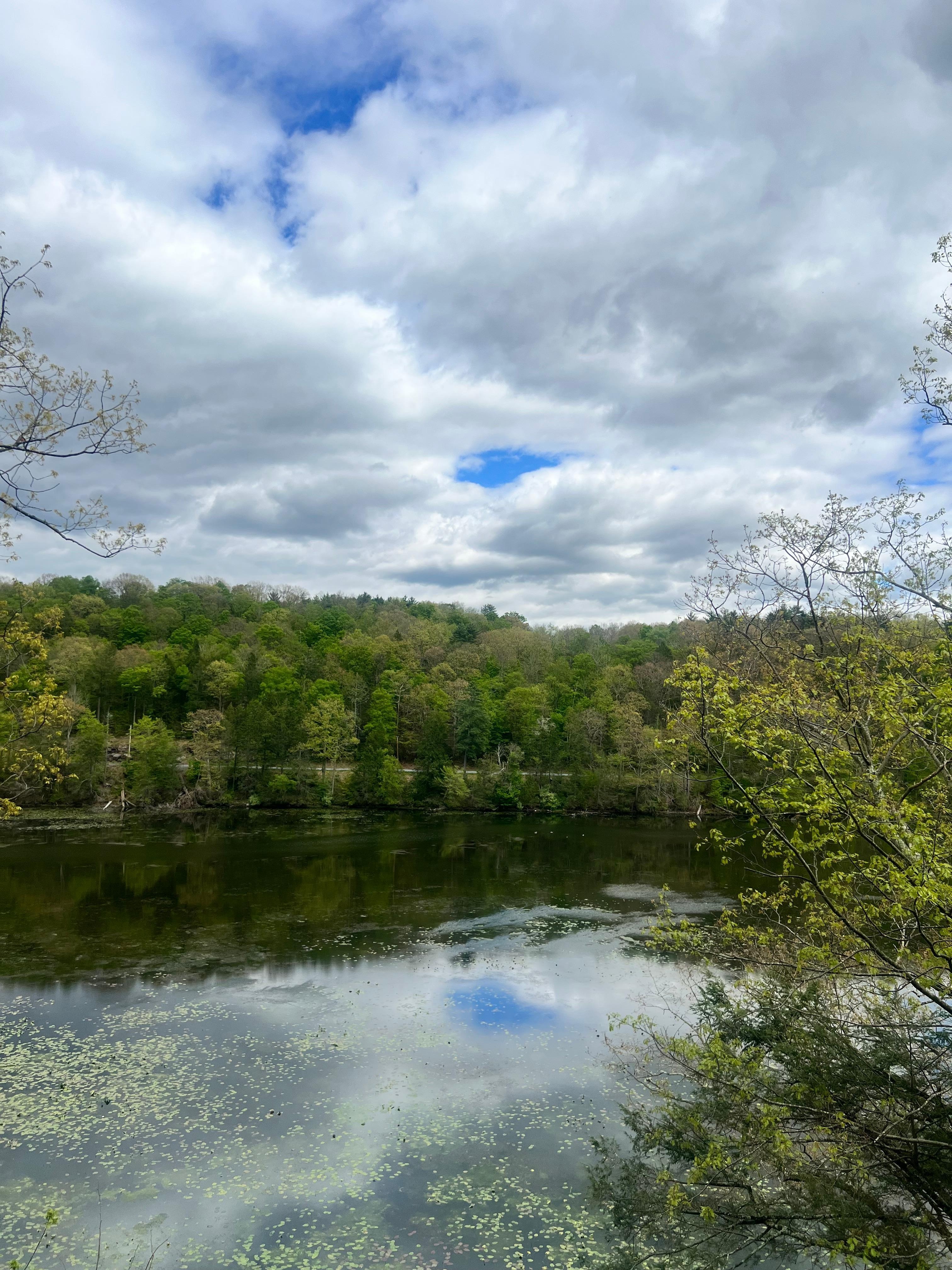 View from the back porch.