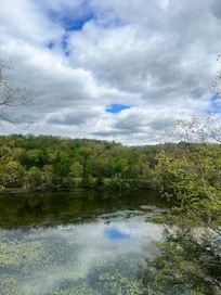 View from the back porch.