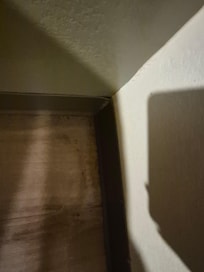 Bug remnants on floor, live roaches seen